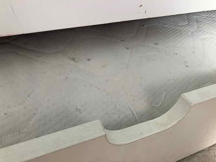 Photo of free Cute Loveheart Single Trundle Bed (ME1) #4