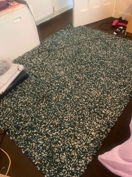 Photo of free Large Rug (Carrick Knowe EH12) #2