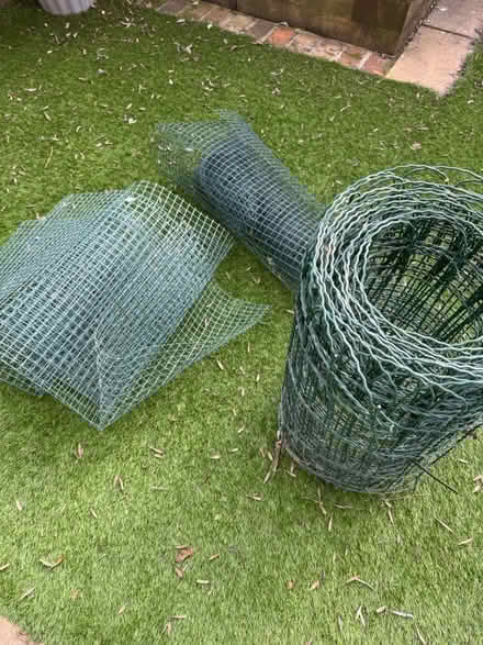 Photo of free Garden netting (BR1) #1