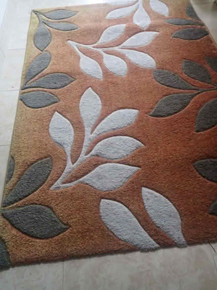 Photo of free Rug (Earith PE28) #1
