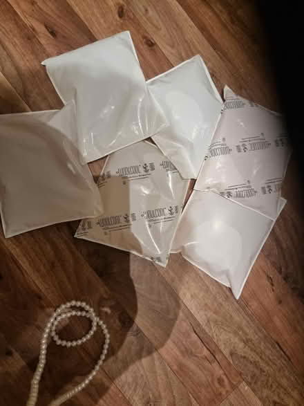 Photo of free Ice pacls (Stroud Green N4) #2