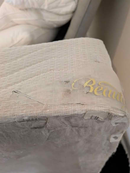 Photo of free Two twin box springs (Old Ottawa south) #4