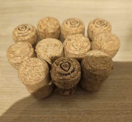 Photo of free Corks (Malvern Link WR14) #1