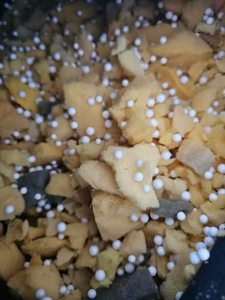 Photo of free Massive bean bag (N78 PL N7) #4