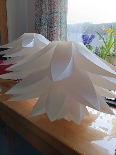 Photo of free 2 ceiling lights shades. (Bolton le Sands LA5) #1