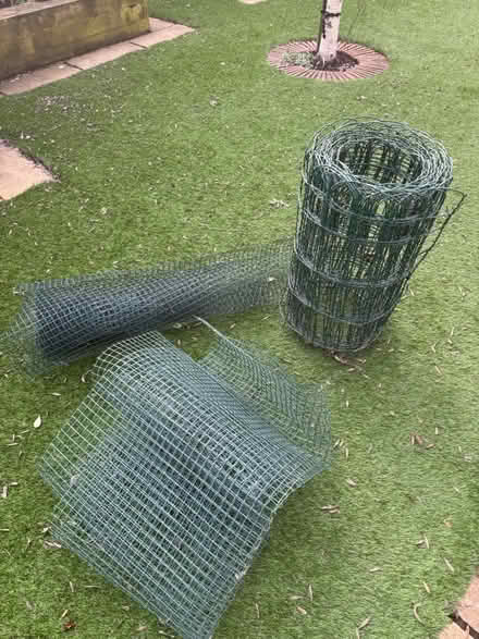 Photo of free Garden netting (BR1) #3