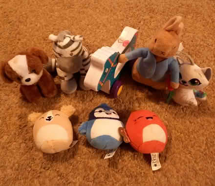 Photo of free Soft toys (Twyford RG10) #3