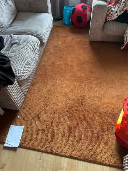 Photo of free IKEA Sporup burnt orange rug (Stapleford NG9) #1