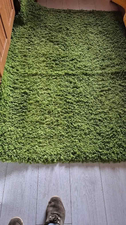 Photo of free Green Rug (Abergele LL22) #1