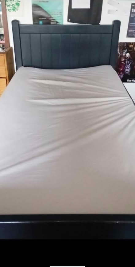 Photo of free Single Aspace bed with pull out trundle (Llandrindod LD1) #1
