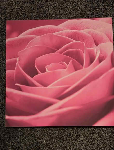 Photo of free canvas wall art (Penilee G52) #1