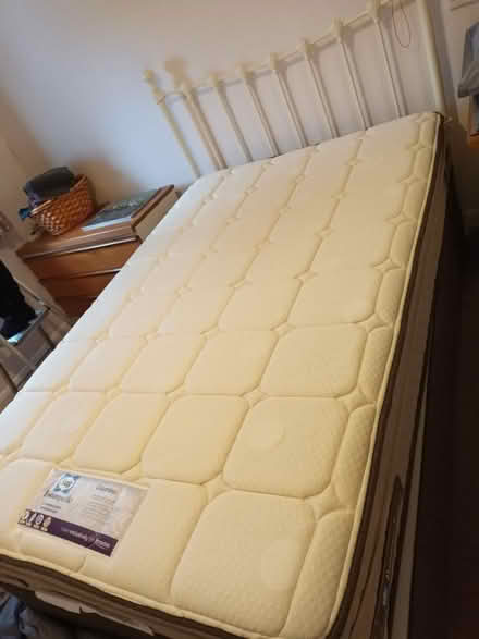 Photo of free Small double bed with headboard (BR6, near PRUH) #2
