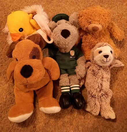 Photo of free Soft toys (Twyford RG10) #2