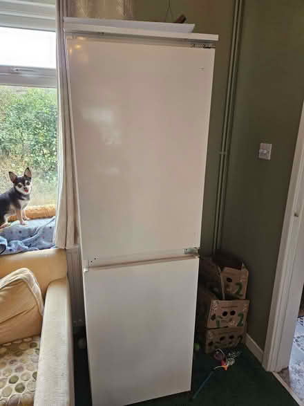 Photo of free Fridge Freezer (West Heath TN13) #2