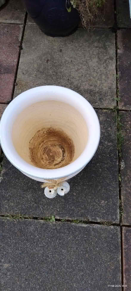 Photo of free Indoor plant pot (Ingol PR2) #4