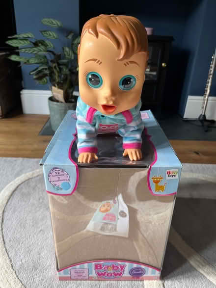 Photo of free Baby Wow toy for 3+ (Bear Flat) #1