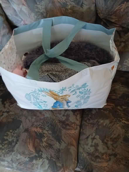 Photo of free Girls clothes age 7/8 (Chattenden ME3) #1