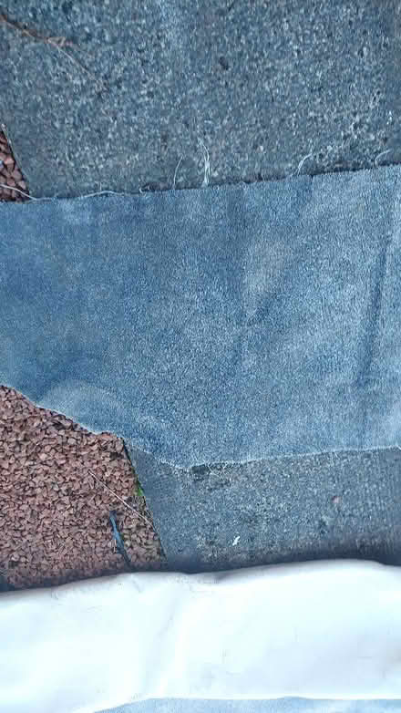 Photo of free Rug (Bannockburn FK7) #2