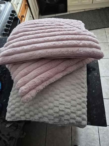 Photo of free 3 cushions, 2 pink 1 white (Portwood SK1) #1