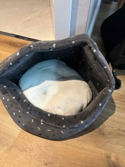 Photo of free Cat bed (Chessington KT9) #4