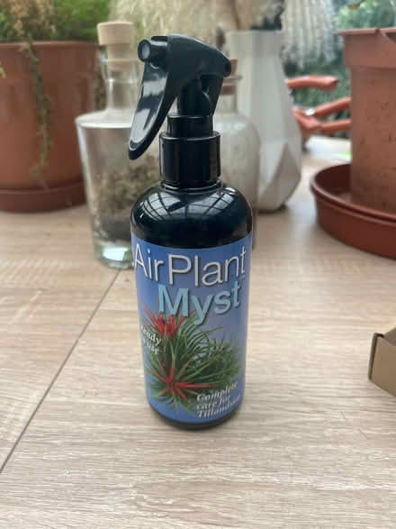 Photo of free air plant myst (Botley OX2) #1