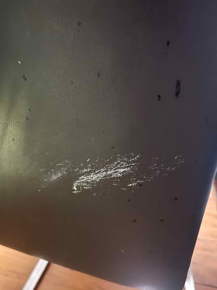 Photo of free Dining Chairs X4 (Lordswood ME5) #4