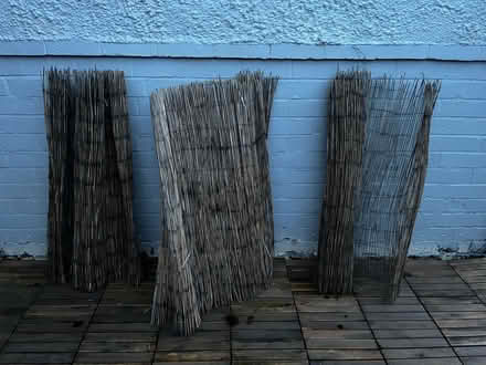 Photo of free Bamboo Screening (Ansley Common CV10) #1