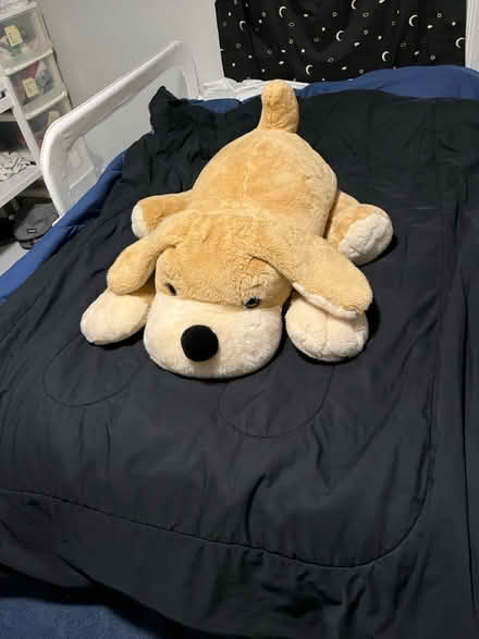 Photo of free Stuffed dog (Eastchester) #1