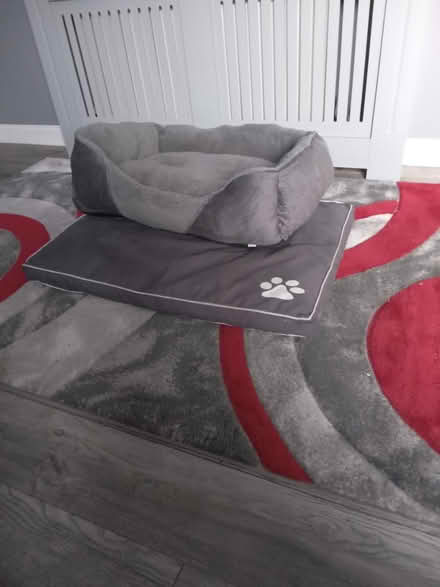 Photo of free Dog beds (Stannington, S6) #1