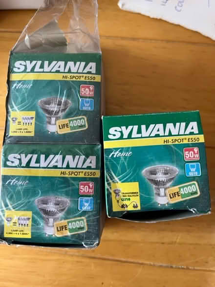 Photo of free Bulbs #2 (Shirley B90) #1