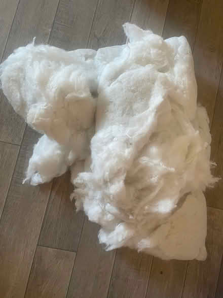 Photo of free Cushion wadding for crafts (High Heaton NE7) #1