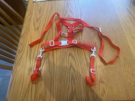 Photo of free Harness and walking rein (The Glebe) #1