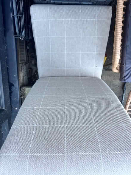 Photo of free Dining chairs x4 (Horsforth LS18) #2