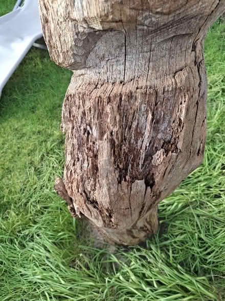 Photo of free Chainsaw Carving (Intake S12) #3