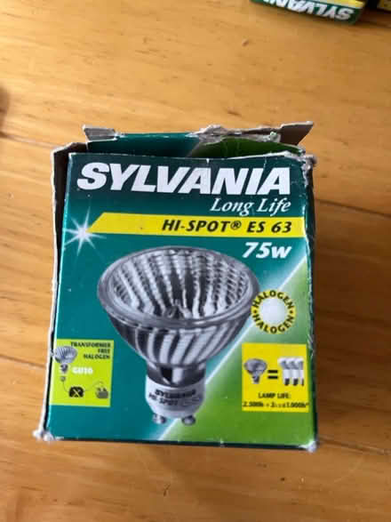 Photo of free Bulbs #2 (Shirley B90) #2