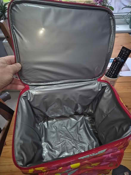 Photo of free Cool bag or picnic bag (Sawbridgeworth CM21) #2