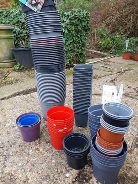 Photo of free Plastic flower pots, numerous sizes (Braughing SG11) #1