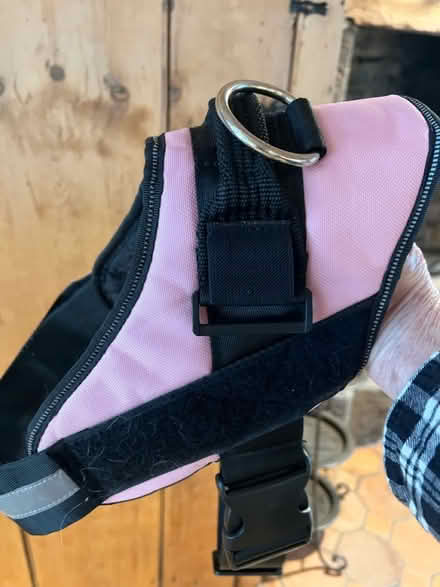 Photo of free Dog Harness (Raritan twp) #1