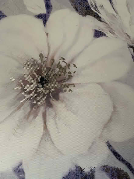 Photo of free Purple/cream flower canvas picture (Slyfield GU1) #3