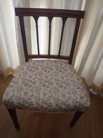 Photo of free 6 elegant dining chairs (Petersfield) #1