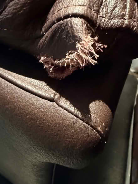 Photo of free Brown Leather couches (Caulfield South) #3