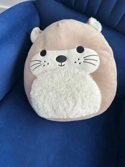 Photo of free Squishmallow (Sandridge AL4) #1