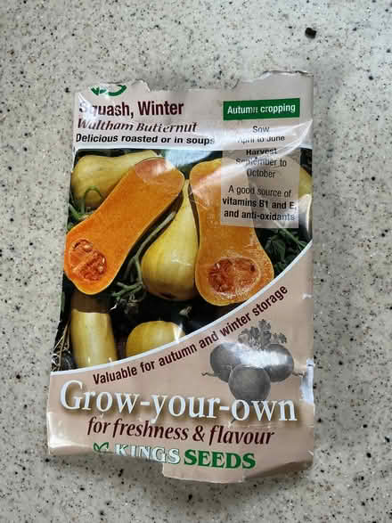 Photo of free Butternut squash seeds (Linslade LU7) #1