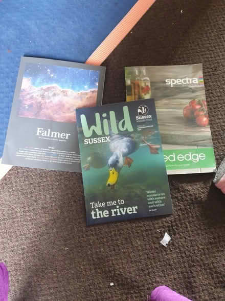 Photo of free Magazines for collage (Bevendean crescent BN2) #1