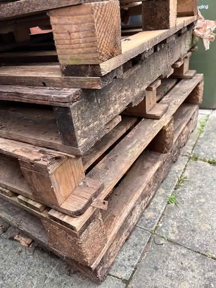 Photo of free Wood pallets (E17) #1