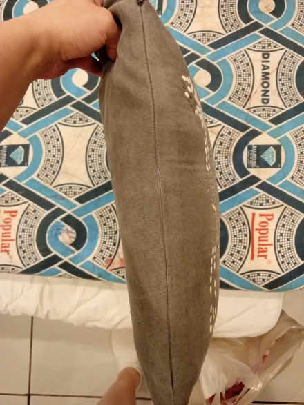 Photo of free Owl cushion (Richmond TW9) #3