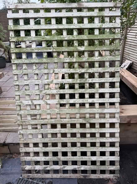 Photo of free Garden Trellis (Bracknell Forest RG42) #1