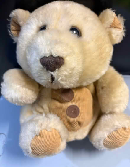Photo of free Teddy (Westbury Wilts BA13) #1