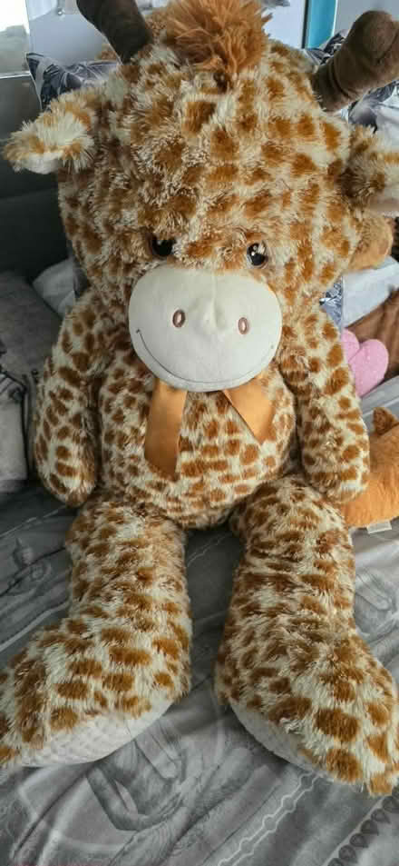 Photo of free Large Soft Cuddly Giraffe (Becontree RM8) #1