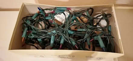 Photo of free Fairy Lights (multi-coloured) (Harrogate HG1) #2